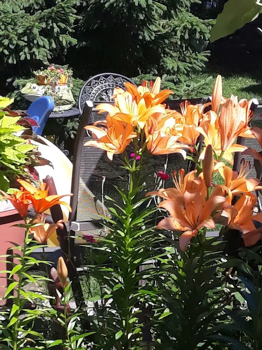 Convent Garden Picture 3