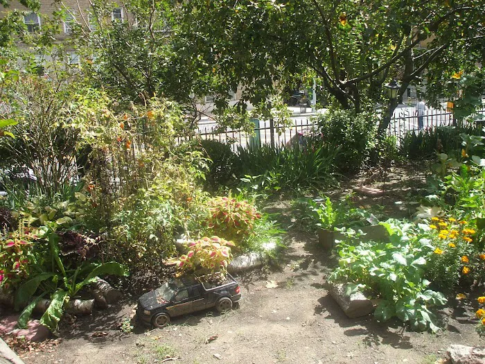 William A. Harris Garden Picture 4