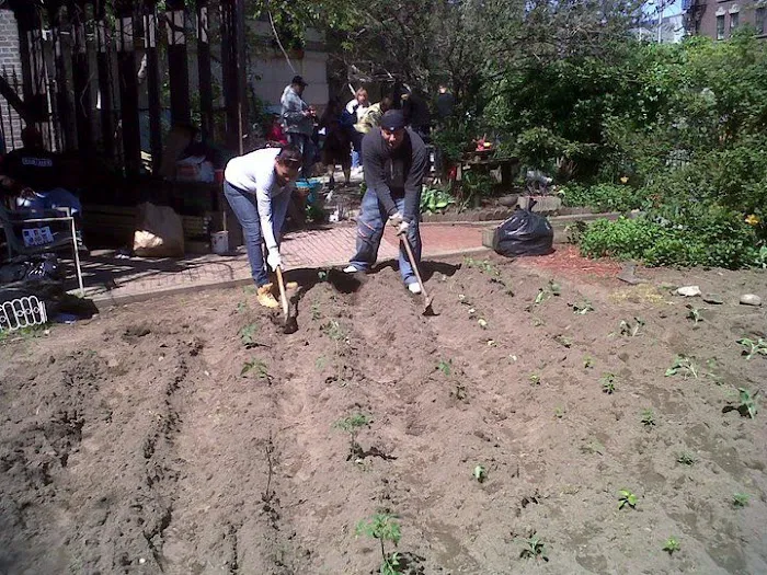 William A. Harris Garden Picture 7