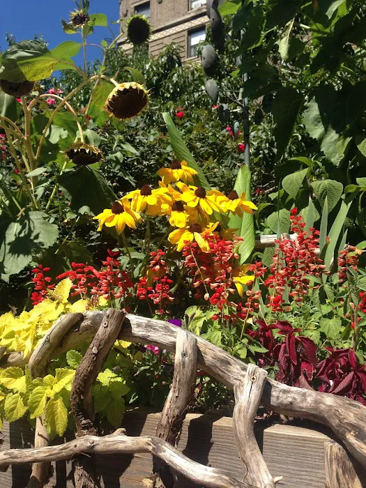William A. Harris Garden Picture 10