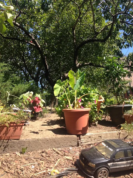 William A. Harris Garden Picture 8
