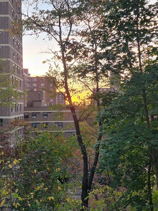 St. Nicholas Park Picture 5