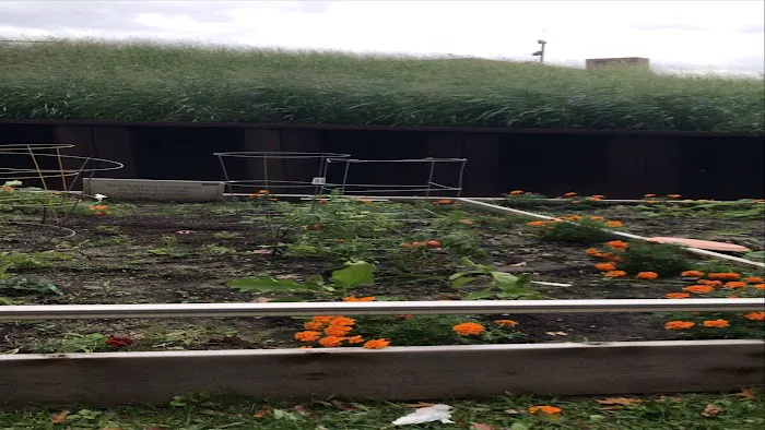 Urban Gardens at City College Picture 1