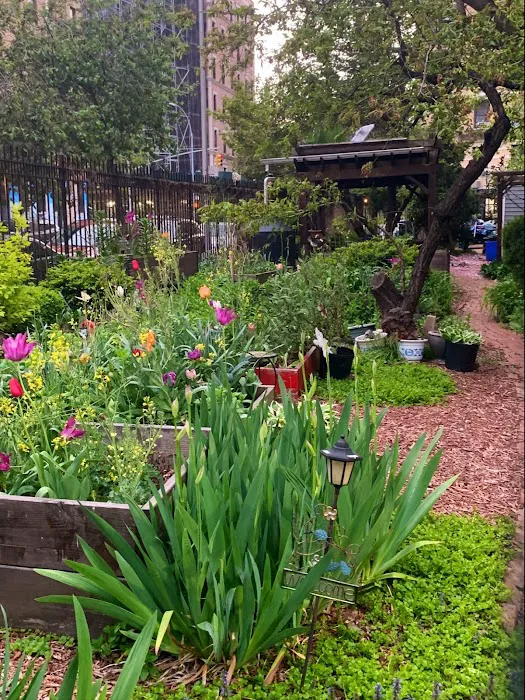 Hope Steven Garden Picture 1