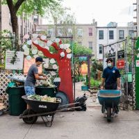 Frank White Memorial Garden ico
