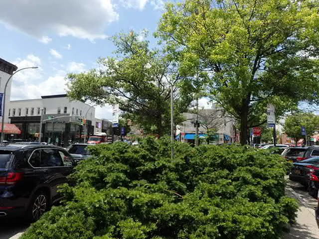Sgt. Joyce Kilmer Square Picture 5