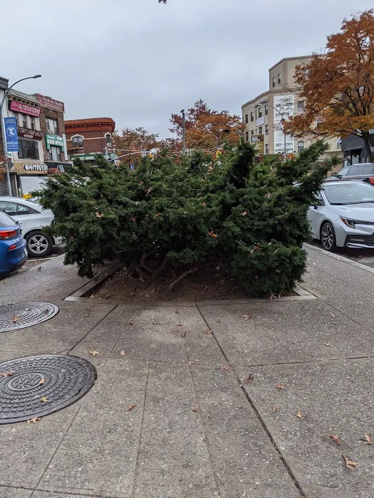 Sgt. Joyce Kilmer Square Picture 3