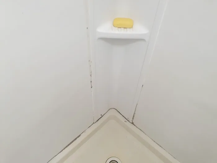 Apartment Ocean Block Picture 5