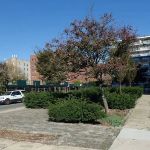 Pritchard Mall
