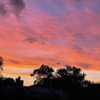 Wingate Park ico