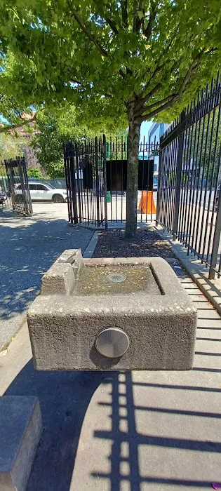 Rolph Henry Playground Picture 6