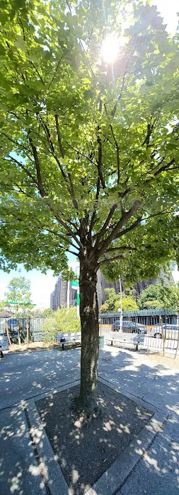 Rolph Henry Playground Picture 1