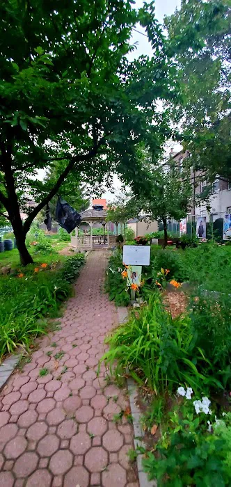 Rogers/Tilden/Veronica Place Garden Picture 5