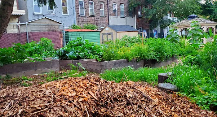 Rogers/Tilden/Veronica Place Garden Picture 1