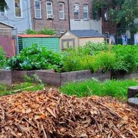 Rogers/Tilden/Veronica Place Garden ico