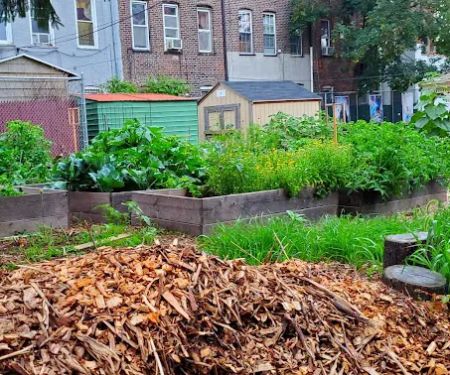Rogers/Tilden/Veronica Place Garden