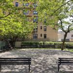 Hidden sycamore park