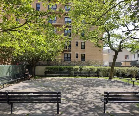 Hidden sycamore park