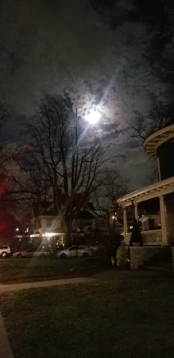 Ditmas Park Picture 4