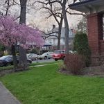 Ditmas Park