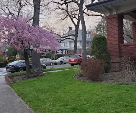 Ditmas Park