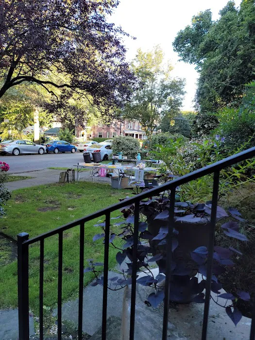 Ditmas Park Picture 3