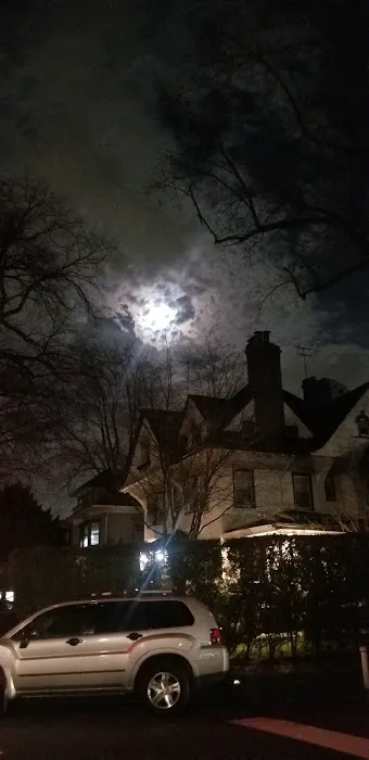 Ditmas Park Picture 5