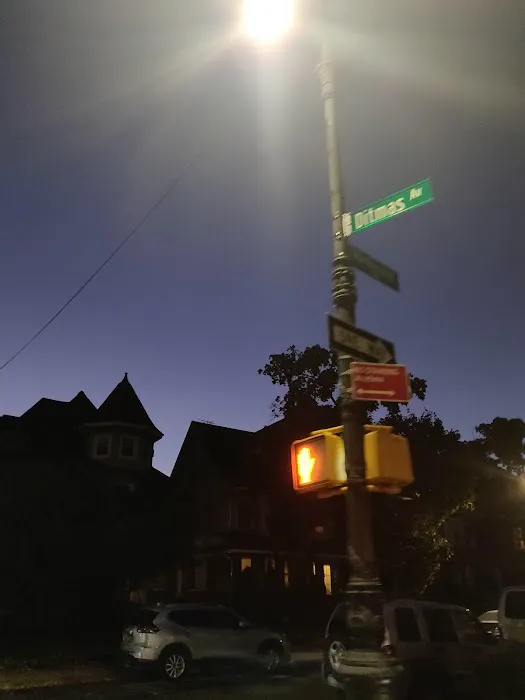 Ditmas Park Picture 8