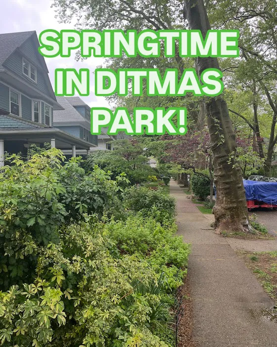 Ditmas Park Picture 6