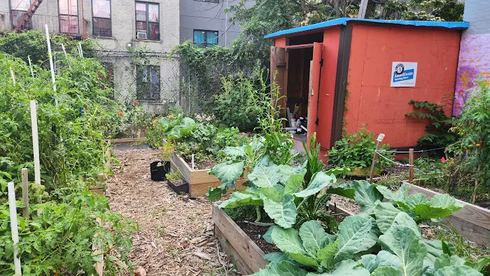 St. John's Place Renaissance Garden Picture 10