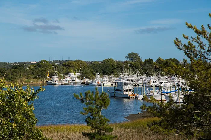North Harbor Condos Picture 7
