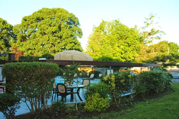 Kenny's Tipperary Inn Picture 8