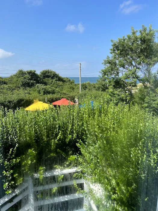 Haven Montauk Picture 5
