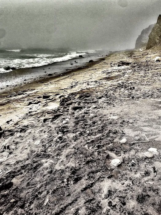 Shadmoor Estate Park Beach Picture 5