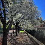 Ten Eyck Plaza