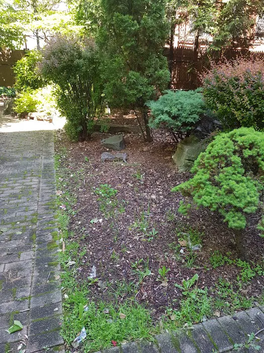 Ten Eyck Garden Picture 1