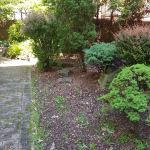 Ten Eyck Garden