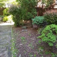Ten Eyck Garden ico