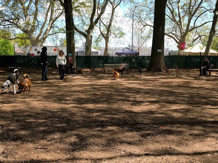 McCarren Park Dog Run Picture 5