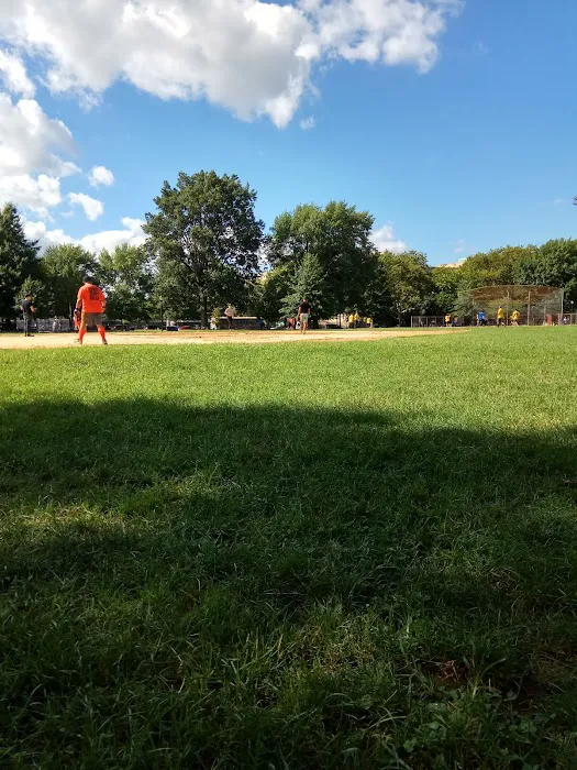 McCarren Park Dog Run Picture 2