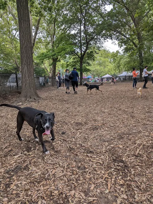 McCarren Park Dog Run Picture 10