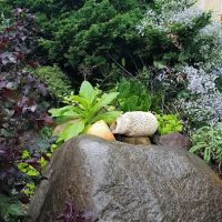 Green Dome Garden ico