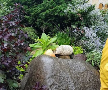 Green Dome Garden