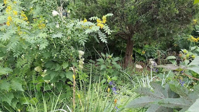 Green Dome Garden Picture 2
