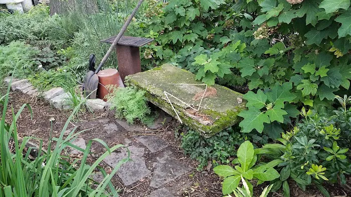 Green Dome Garden Picture 3