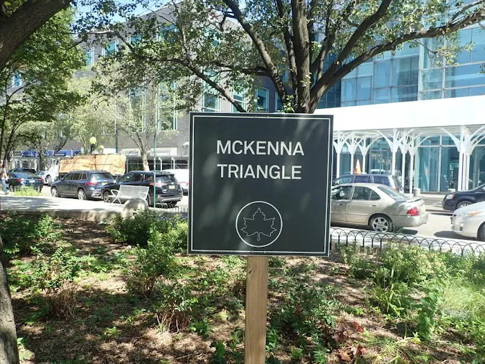 McKenna Triangle Picture 10