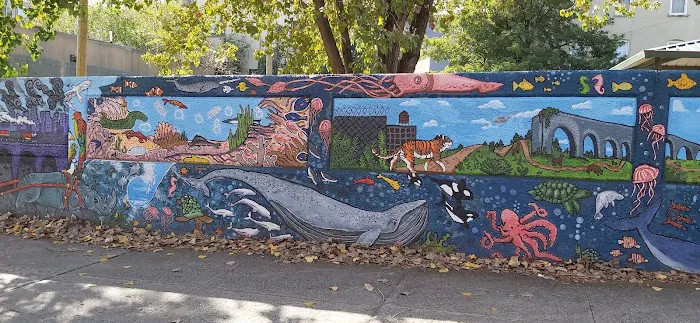 LIC Dog Park Picture 4