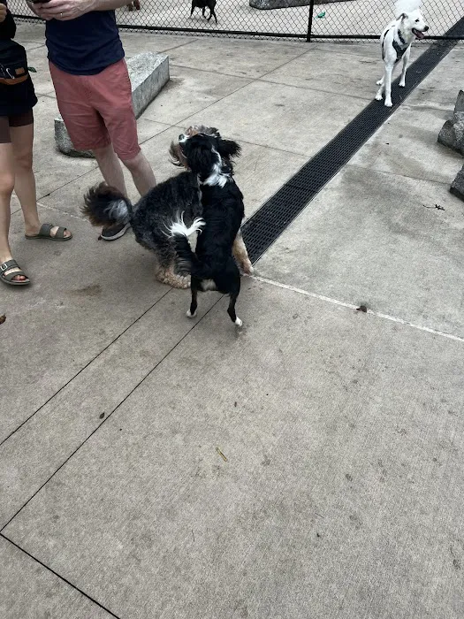 Sven Dog Park Picture 2