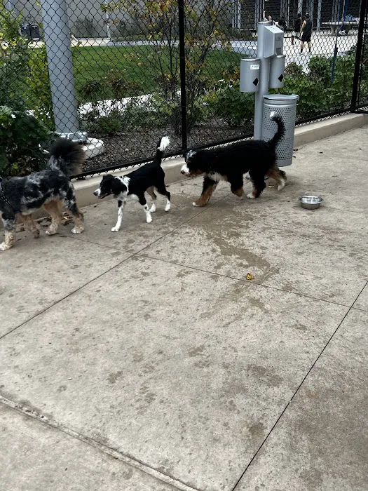 Sven Dog Park Picture 1