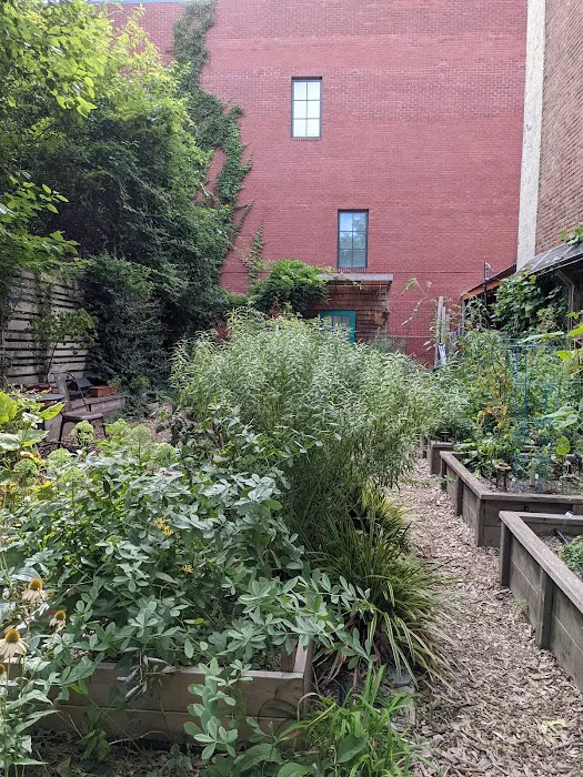 61 Franklin Street Picture 9